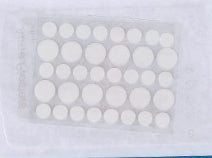 cb364dc0e5623a5dfd596a77c6c40c2a